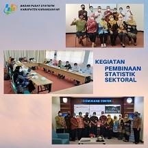 Pembinaan Statistik Sektoral