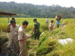 Survei Ubinan bersama Dinas Pertanian dan KODIM 2016