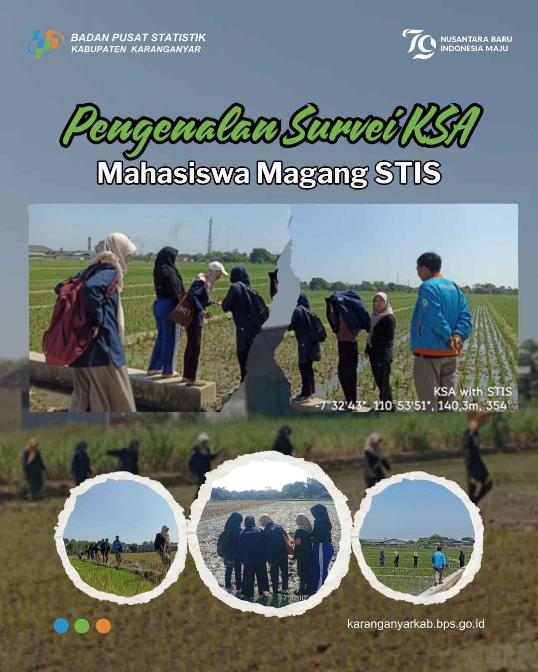 Pengenalan Survei KSA Mahasiswa Polstat STIS